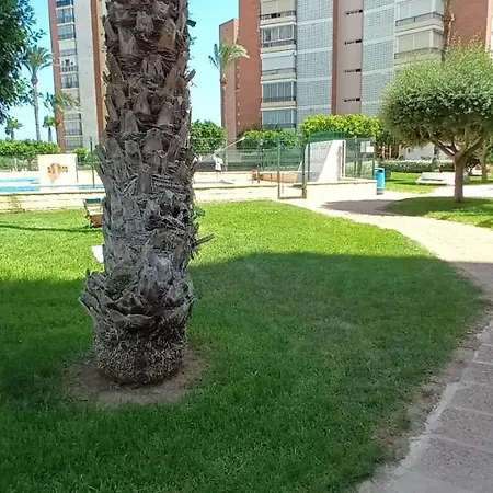 Apartamento Con Vistas Al Mar Poniente Avda Uruguay * 貝尼多姆